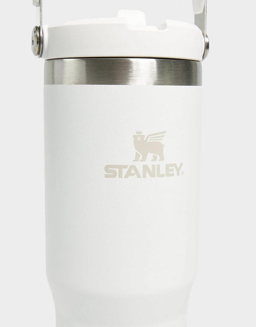 แก้วเก็บอุณหภูมิ The IceFlow Flip Straw Tumbler (30 OZ)