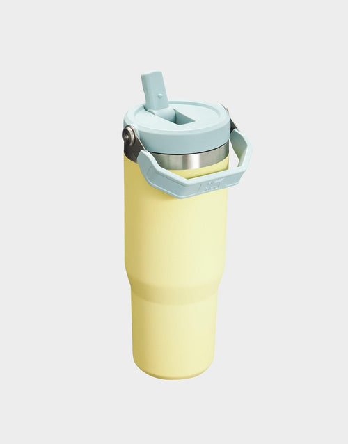 แก้วเก็บอุณหภูมิ The IceFlow Flip Straw (30 OZ)