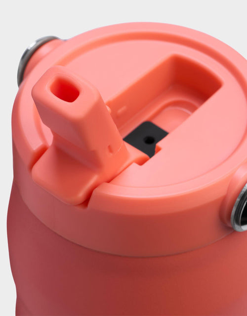 แก้วเก็บอุณหภูมิ The IceFlow Aerolight Flip Straw (24 OZ)
