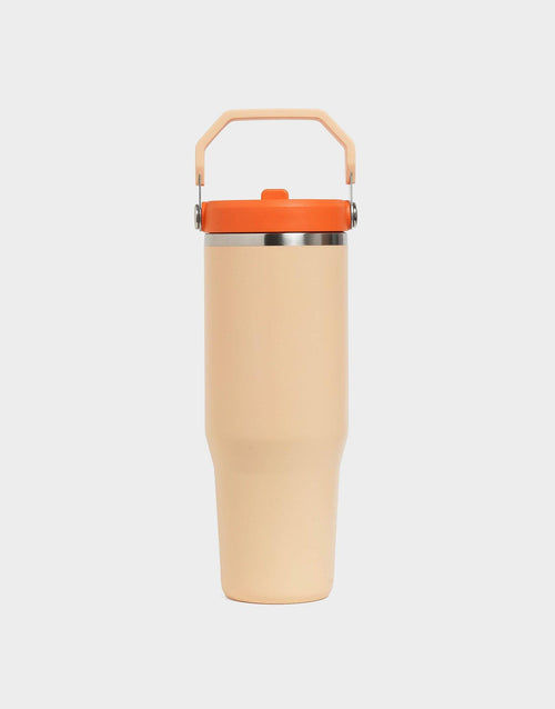 แก้วเก็บอุณหภูมิ The IceFlow Flip Straw 2.0 (30 OZ)