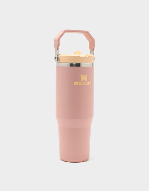 แก้วเก็บอุณหภูมิ The IceFlow Flip Straw 2.0 (30 OZ)