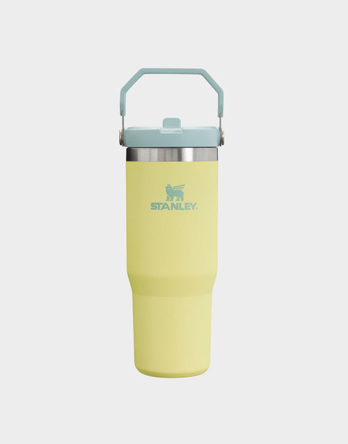 แก้วเก็บอุณหภูมิ The IceFlow Flip Straw 2.0 (30 OZ)