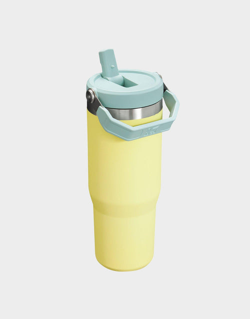 แก้วเก็บอุณหภูมิ The IceFlow Flip Straw 2.0 (30 OZ)