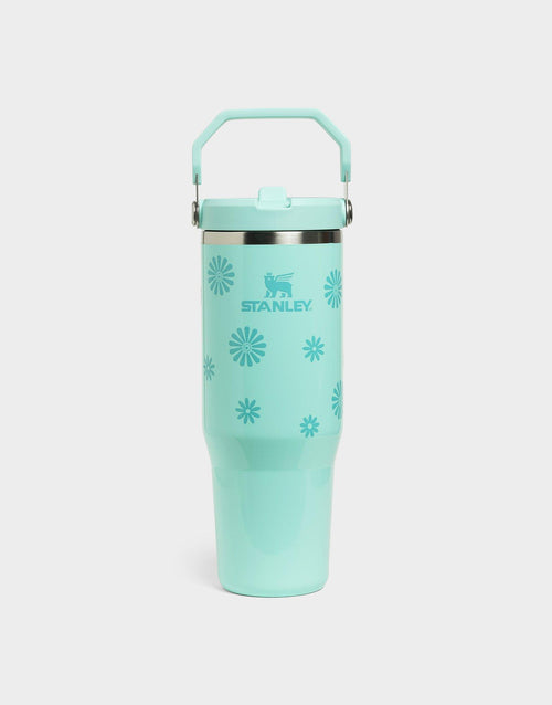 แก้วเก็บอุณหภูมิ The IceFlow Flip Straw 2.0 (30 OZ)