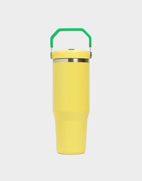 แก้วเก็บอุณหภูมิ The IceFlow Flip Straw 2.0 (30 OZ)