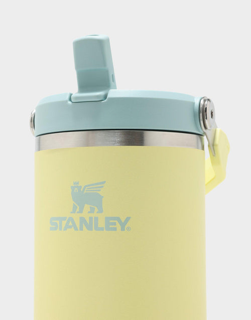แก้วเก็บอุณหภูมิ The IceFlow Flip Straw 2.0 (30 OZ)