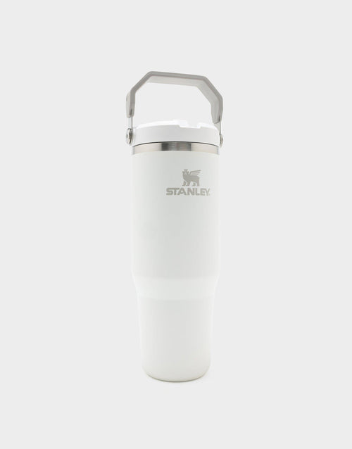 แก้วเก็บอุณหภูมิ The IceFlow Flip Straw 2.0 (30 OZ)