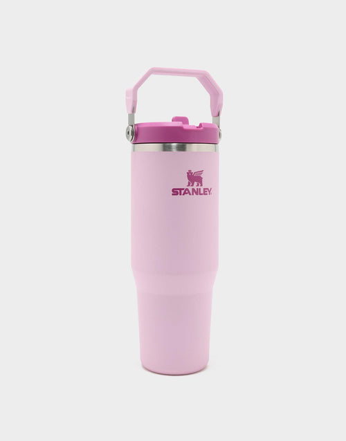 แก้วเก็บอุณหภูมิ The IceFlow Flip Straw 2.0 (30 OZ)