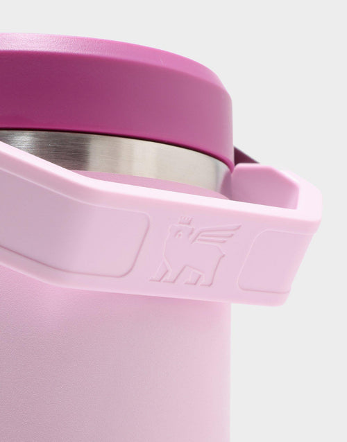แก้วเก็บอุณหภูมิ The IceFlow Flip Straw 2.0 (30 OZ)