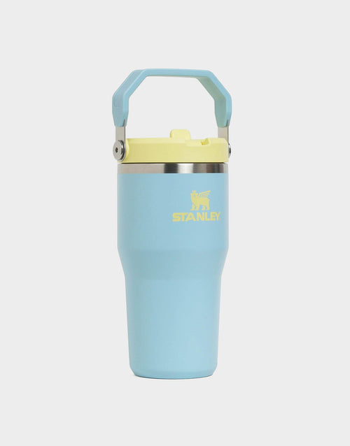 แก้วเก็บอุณหภูมิ The IceFlow Flip Straw 2.0 (20 OZ)