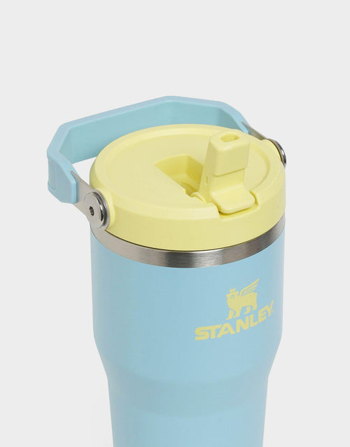 แก้วเก็บอุณหภูมิ The IceFlow Flip Straw 2.0 (20 OZ)