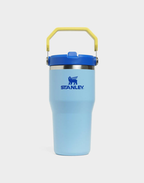 แก้วเก็บอุณหภูมิ The IceFlow Flip Straw 2.0 (20 OZ)