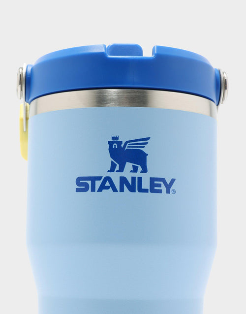 แก้วเก็บอุณหภูมิ The IceFlow Flip Straw 2.0 (20 OZ)