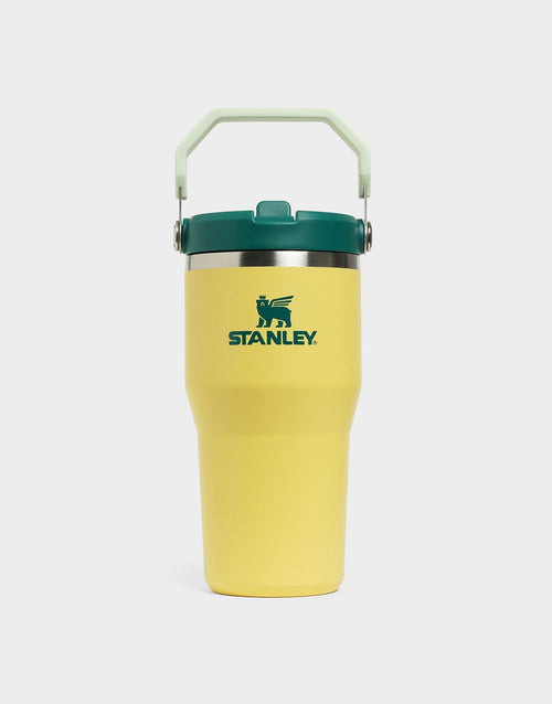 แก้วเก็บอุณหภูมิ The IceFlow Flip Straw 2.0 (20 OZ)