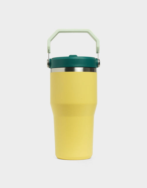 แก้วเก็บอุณหภูมิ The IceFlow Flip Straw 2.0 (20 OZ)