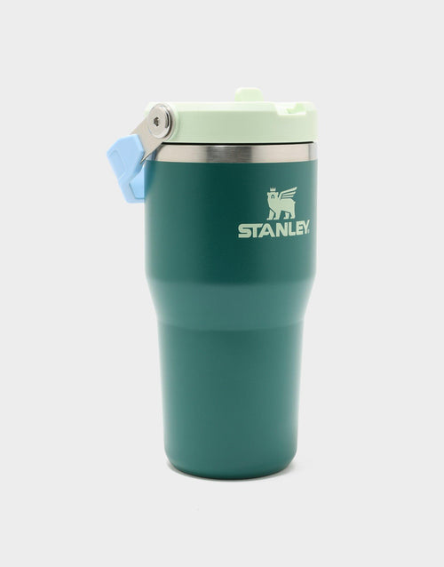 แก้วเก็บอุณหภูมิ The IceFlow Flip Straw 2.0 (20 OZ)