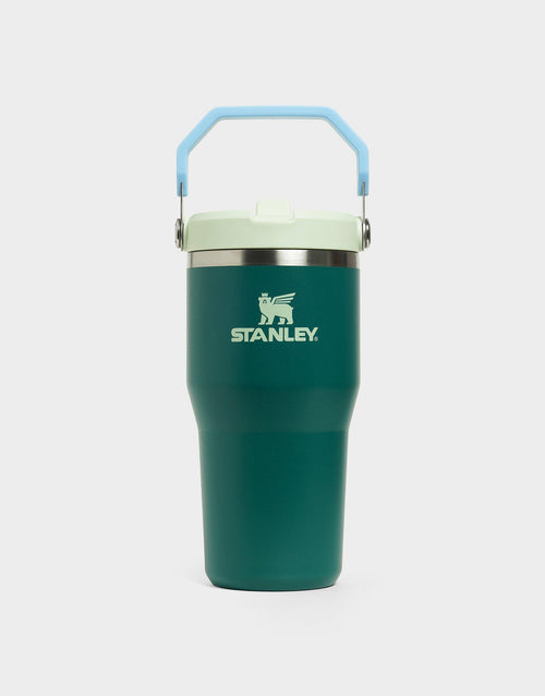 แก้วเก็บอุณหภูมิ The IceFlow Flip Straw 2.0 (20 OZ)