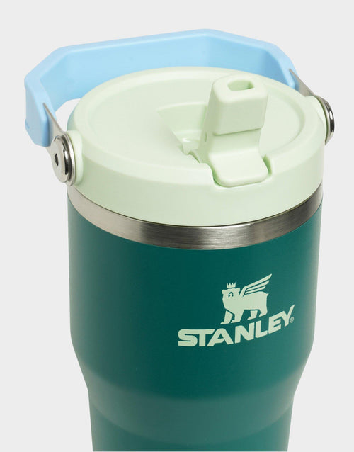 แก้วเก็บอุณหภูมิ The IceFlow Flip Straw 2.0 (20 OZ)