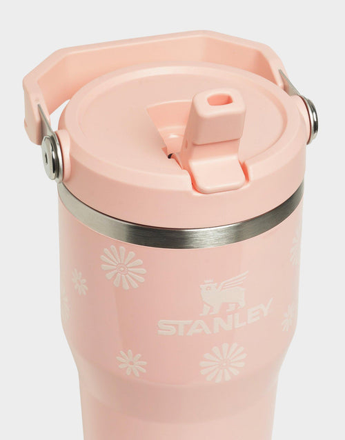 แก้วเก็บอุณหภูมิ The IceFlow Flip Straw 2.0 (20 OZ)