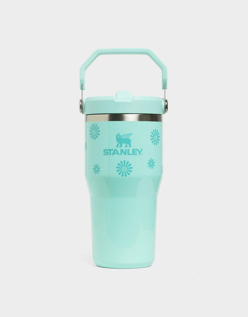 แก้วเก็บอุณหภูมิ The IceFlow Flip Straw 2.0 (20 OZ)