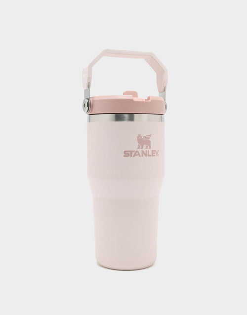 แก้วเก็บอุณหภูมิ The IceFlow Flip Straw (20 OZ)