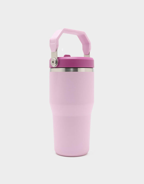 แก้วเก็บอุณหภูมิ The IceFlow Flip Straw (20 OZ)