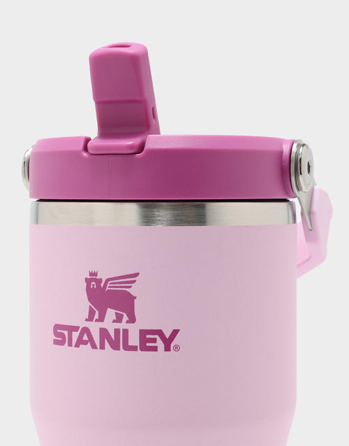 แก้วเก็บอุณหภูมิ The IceFlow Flip Straw (20 OZ)