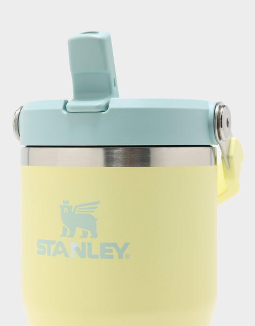 แก้วเก็บอุณหภูมิ The IceFlow Flip Straw (20 OZ)