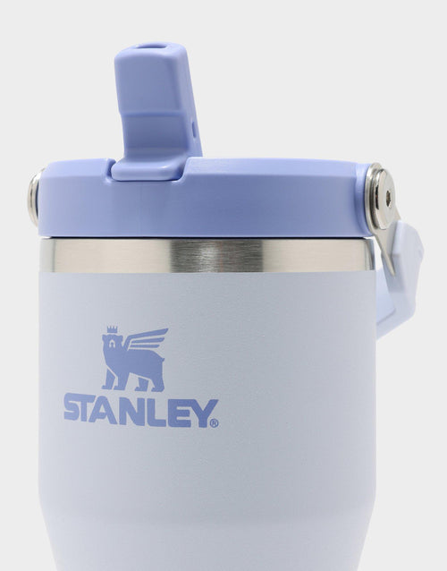 แก้วเก็บอุณหภูมิ The IceFlow Flip Straw (20 OZ)