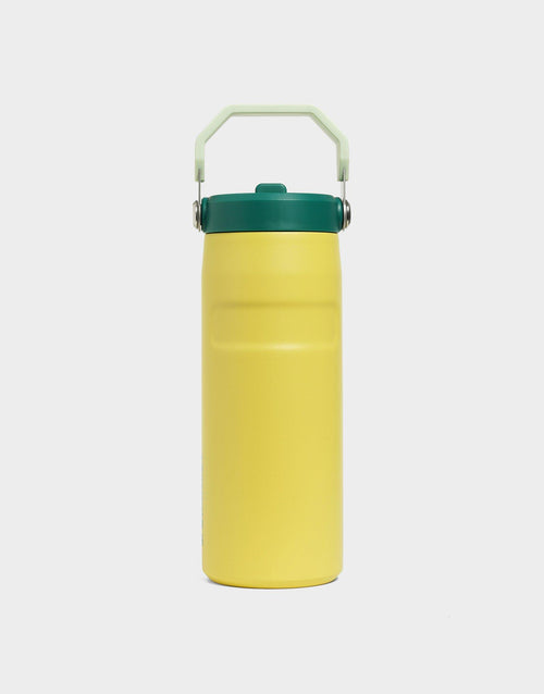 แก้วเก็บอุณหภูมิ The IceFlow Flip Straw (16 OZ)