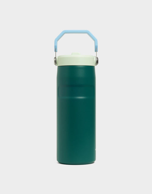 แก้วเก็บอุณหภูมิ The IceFlow Flip Straw (16 OZ)