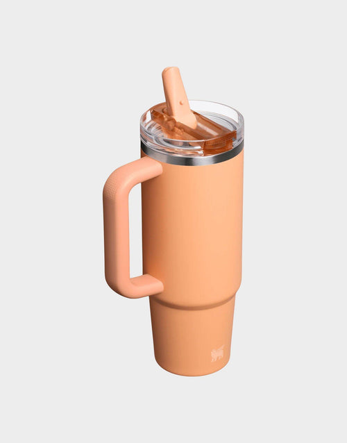 แก้วเก็บอุณหภูมิ Quencher ProTour Flip Straw (30 OZ)