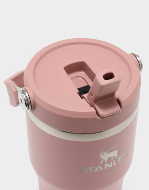 แก้วเก็บอุณหภูมิ The IceFlow Flip Straw 2.0 (20 OZ)