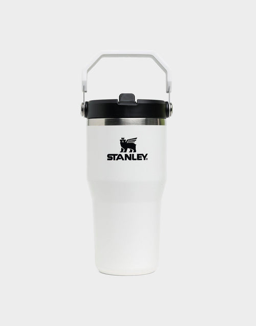 แก้วเก็บอุณหภูมิ The IceFlow Flip Straw (20 OZ)