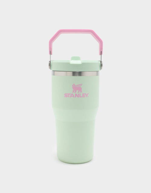 แก้วเก็บอุณหภูมิ The IceFlow Flip Straw 2.0 (20 OZ)