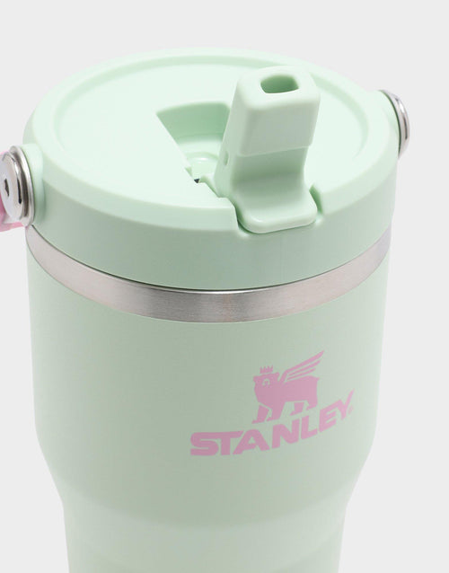 แก้วเก็บอุณหภูมิ The IceFlow Flip Straw 2.0 (20 OZ)