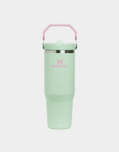 แก้วเก็บอุณหภูมิ The IceFlow Flip Straw 2.0 (30 OZ)