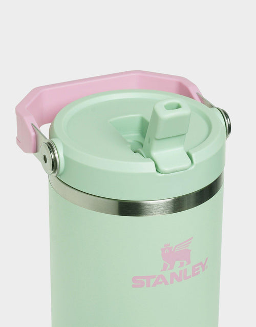 แก้วเก็บอุณหภูมิ The IceFlow Flip Straw 2.0 (30 OZ)