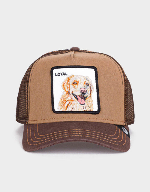 หมวกแก็ป The Loyal Dog