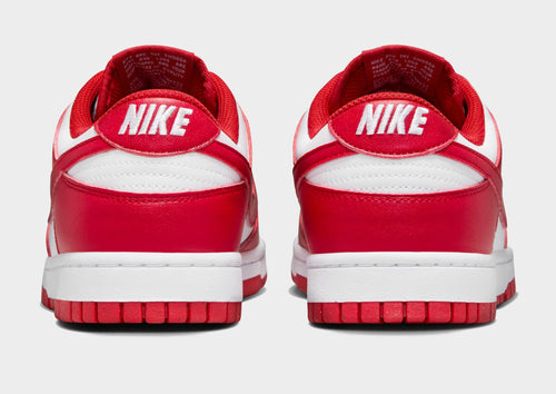 รองเท้าผู้หญิง Dunk Low Next Nature