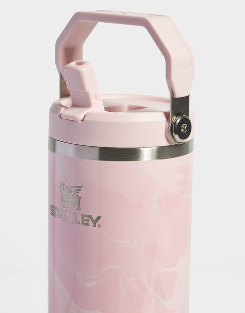 แก้วเก็บอุณหภูมิ The IceFlow Flip Straw 2.0 (30 OZ)