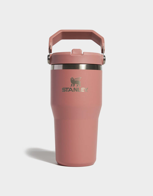 แก้วเก็บอุณหภูมิ The IceFlow Flip Straw 2.0 (20 OZ)