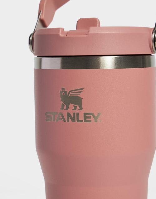 แก้วเก็บอุณหภูมิ The IceFlow Flip Straw 2.0 (20 OZ)