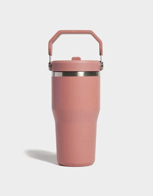 แก้วเก็บอุณหภูมิ The IceFlow Flip Straw 2.0 (20 OZ)