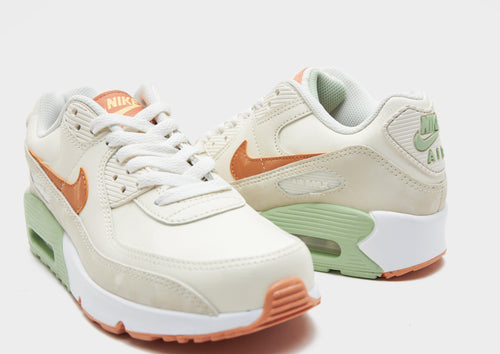 รองเท้าเด็กโต Air Max 90 LTR