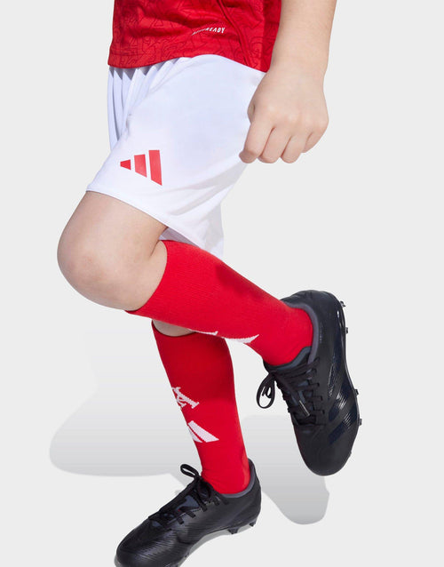 ชุดเหย้าเด็กเล็ก Arsenal 25/26 Mini