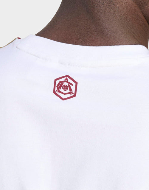 เสื้อยืดผู้ชาย AFC Terrace Icons