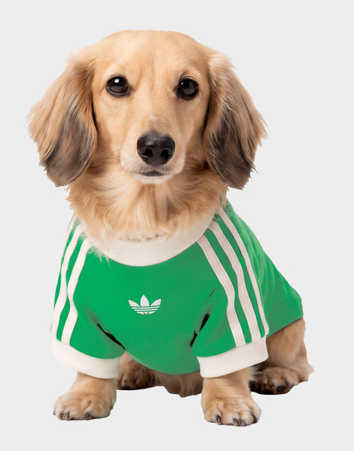 เสื้อยืดสำหรับสัตว์เลี้ยง Cali