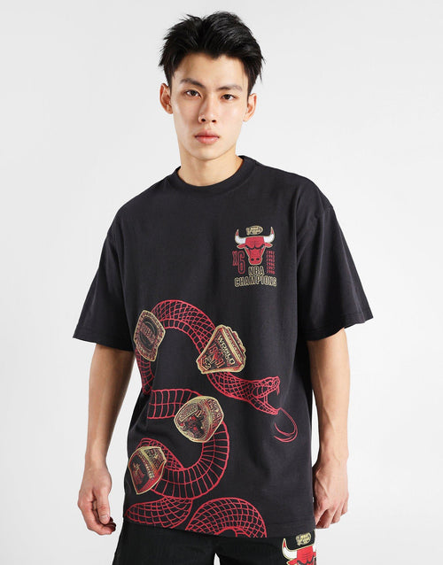 เสื้อยืดผู้ชาย CNY Snake Chicago Bulls