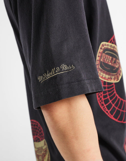 เสื้อยืดผู้ชาย CNY Snake Chicago Bulls